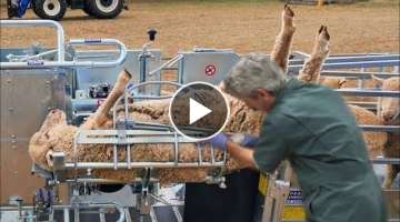 These animal machines will blow your mind. - Modern Cow Milking Automatic Machine.