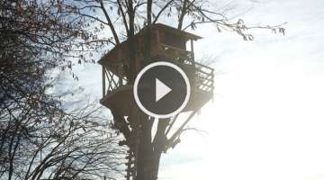 Building an Amazing Treehouse