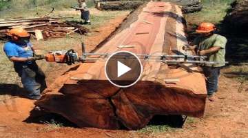 Amazing Fastest Large Wood Sawmill Machine Working- Woodworking Processing Factory Modern Technol...