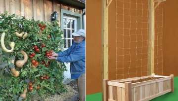 How To Build A Vertical Vegetable Garden 