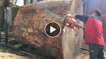 Amazing Dangerous Chainsaw Skills Giant Tree - Dangerous Biggest Wood Sawmill Machine Working