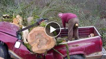 Tree Cutting Fails And Idiots With Chainsaws 2