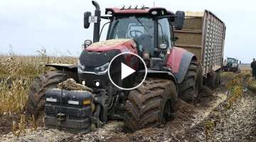 Case IH 300 Optum Gets Totally Stuck in The Mud During Maize / Corn Chopping 