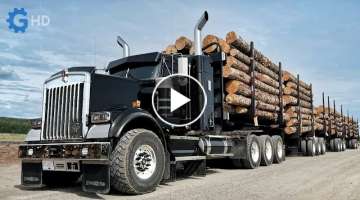 THE MOST AWESOME KENWORTH TRUCKS ▶ Logging Truck Fleet
