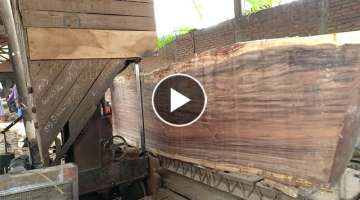 SAWING GIANT WOOD IN THE SAWMILL