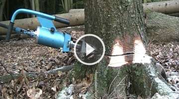 Hydraulic felling of North Forest