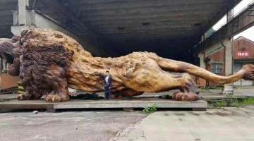Incredible Wooden Lion Carved from a Single Tree (10 photos)