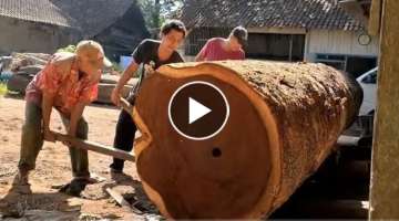 Giant trembesi sawmill process million dollar price Zimbabwean export materials to South Korea