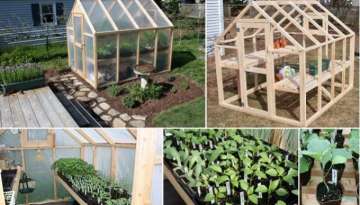 How To Build A Simple Greenhouse