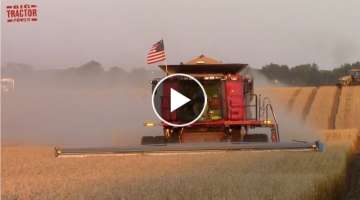 WHEAT HARVEST with Case IH Axial-Flow Combines
