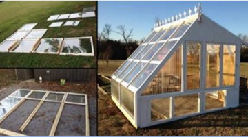 He Builds a Greenhouse from Old Windows