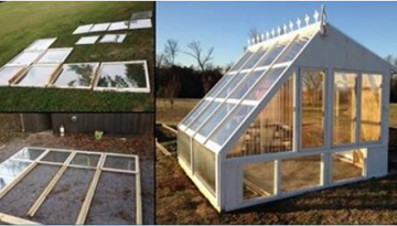 He Builds a Greenhouse from Old Windows
