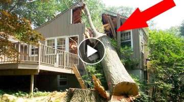 TREE CUTTING FAILS. EPIC COMPILATION