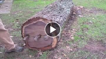 Genius Turns An Old Tree Trunk Into A Masterpiece Without Using A Single Power Tool