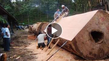 Dangerous Fastest Sawmill Wood Felling Cutting Down - Heavy Wood Cutting Machine Modern Chainsaw