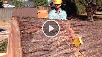 AWESOME Big Redwood Removal and Mill Job