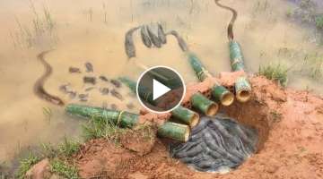 The first Trap Can Catch Alot of fish & Crabs And Eels By 5 Bambo With deep Hole