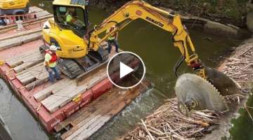 AWESOME Beaver Dams with Excavator | DANGEROUS EXCAVATOR WORKING COMPILATION