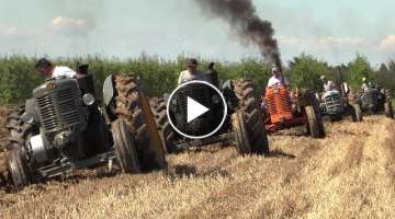 Old tractors plowing | Hot bulb Landini testacalda, FIAT OM, Porsche, Fordson, Lamborghini aratur...