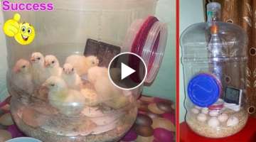 Homemade Incubator || Chicks Hatched-Result || How to Make an Egg Incubator