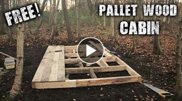 Building an Off Grid Cabin in the Forest using Free Pallet Wood - A Wilderness Project
