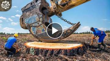 200 Mind-Blowing, CRAZY Powerful Machines and Heavy Duty Equipment That Are on Another Level