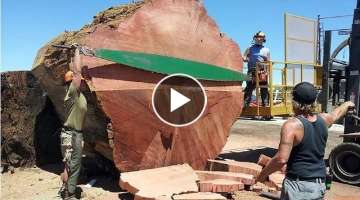 Amazing Fastest Large Wood Sawmill Machines Working, Modern Operated Sawmills in The Country