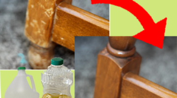TIP: Naturally Repair Wood With Vinegar and Canola Oil 