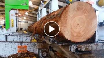 Awesome Huge Wood Sawmill Machines Working In Factory ! Hull Oakes Lumber Company