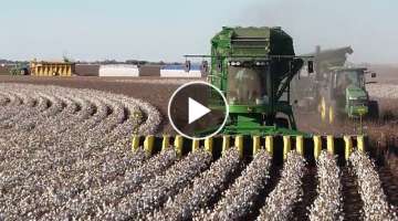 2023 Cotton Harvest in Cone, Texas USA