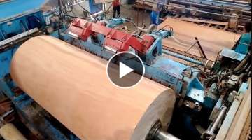 Amazing Biggest plywood woodworking Machine, Fastest Large wood processor Machines Working