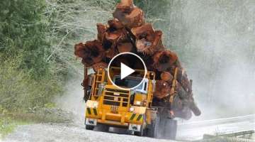 Extremely Dangerous Logging Truck Overload Climbing Sloping Hill & Crossing Difficult Roads !