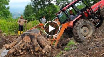 Tractors VS Big Tree Stump | Dangerous Stump Pulling , INSANE Stump Removal Attachments