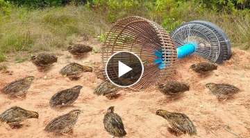 Awesome Quick Bird Trap Using Tire Car And PVC - How To Make Bird With Water Pipe Work 100%