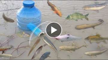 Creative Girl Make Fish Trap Using Big Plastic Bottle - PVC - Electric Fan To Catch A Lot of Fish
