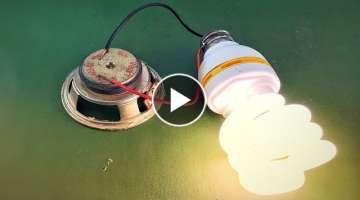 Electric Science Free Energy Using Speaker Magnet 100%