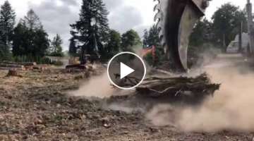 Removing stumps the COOL way!