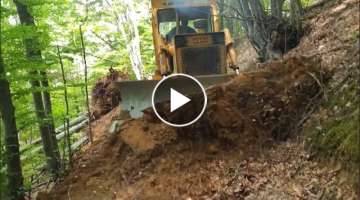 Bulldozer TG 120 works in the forest