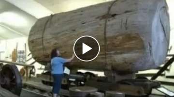 INCREDIBLE monster wood sawmill machine - Automatic Processing & cutting Big Tree Machine 