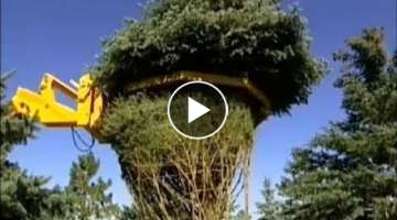 Heavy Machine Pruning Agriculture - INVENTION TECHNOLOGY Move Large Tree