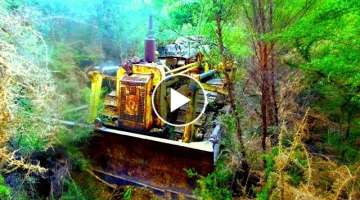 Salvaging an Abandoned TD9 Bulldozer from the Forest.. Will it start??