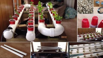 How To Easily Build a Gravity-Based PVC Aquaponic Garden